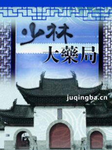 少林大药局