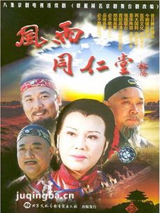 风雨同仁堂剧情介绍(1-8全集)海报