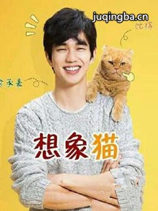 韩剧想象猫咪剧情介绍(1-8全集)海报