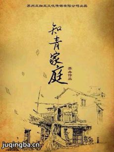 知青家庭剧情介绍(1-32全集)海报