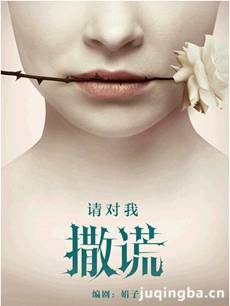 请对我撒谎剧情介绍(1-30全集)海报