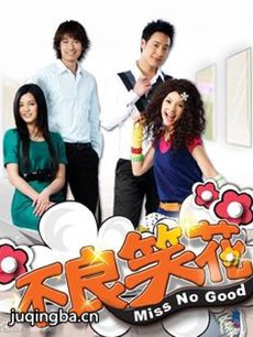 不良笑花剧情介绍(1-14全集)海报