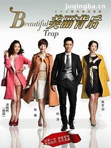 美丽背后剧情介绍(1-31全集)海报
