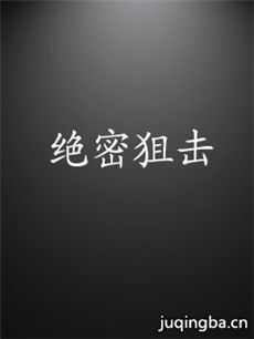 绝密狙击剧情介绍(1-30全集)海报