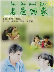 老爸回家剧情介绍(1-35全集)海报