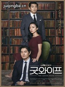 韩剧Good Wife剧情介绍(1-16全集)海报