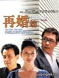 再婚劫剧情介绍(1-30全集)海报