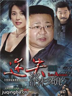 迷失洛杉矶剧情介绍(1-30全集)海报
