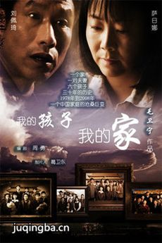 我的孩子我的家剧情介绍(1-40全集)海报