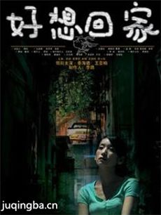 好想回家剧情介绍(1-24全集)海报