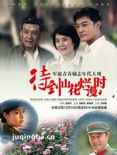 待到山花烂漫时剧情介绍(1-39全集)海报
