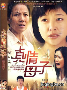 真情母子剧情介绍(1-52全集)海报