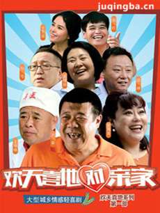 欢天喜地对亲家剧情介绍(1-35全集)海报