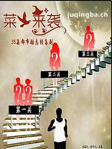 菜鸟来袭剧情介绍(1-35全集)海报