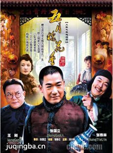 五月槐花香剧情介绍(1-32全集)海报