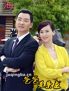 爸爸是条龙剧情介绍(1-40全集)海报