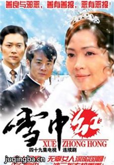 雪中红剧情介绍(1-49全集)海报