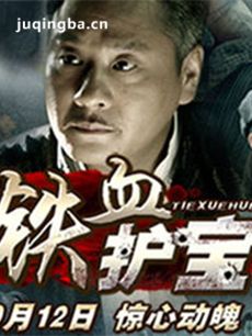 电视剧铁血护宝剧情介绍(1-30全集)海报