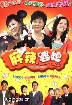 麻辣婆媳剧情介绍(1-20全集)海报