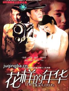 电视剧《花样的年华》剧情介绍(1-30全集)海报