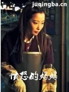 愤怒的妈妈剧情介绍(1-16全集)海报