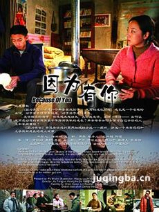 电视剧因为有你剧情介绍(1-20全集)海报