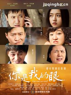 你是我的眼剧情介绍(1-37全集)（沈腾版）海报
