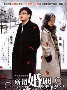 电视剧所谓婚姻剧情介绍(1-22全集)海报