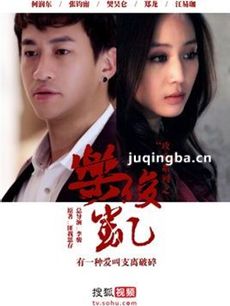 电视剧乐俊凯剧情介绍(1-9全集)海报