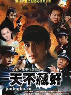 天不藏奸剧情介绍(1-30全集)海报