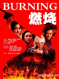 电视剧燃烧剧情介绍(1-34全集)海报