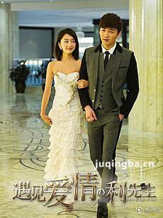 遇见爱情的利先生剧情介绍(1-41全集)海报