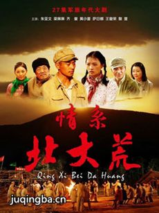 情系北大荒剧情介绍(1-27全集)海报