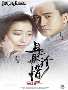 电视剧《且行且珍惜》剧情介绍(1-38全集)海报