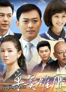单翼雄鹰剧情介绍(1-38全集)海报