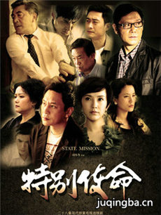 特别使命剧情介绍(1-29全集)海报