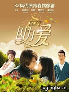 电视剧《因为爱》剧情介绍(1-30全集)海报