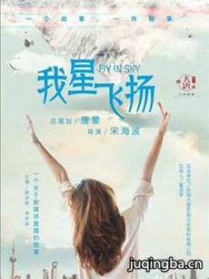 我星飞扬剧情介绍(1-40全集)海报