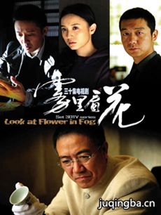 电视剧《雾里看花》剧情介绍(1-30全集)海报