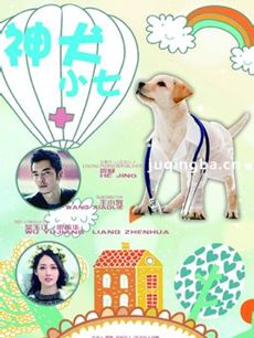 电视剧神犬小七剧情介绍(1-38全集)海报
