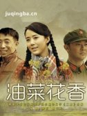 电视剧油菜花香剧情介绍(1-30全集)海报