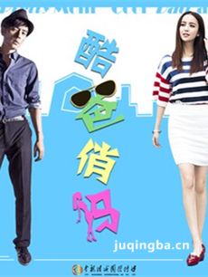 酷爸俏妈剧情介绍(1-39全集)海报