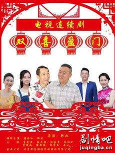 双喜盈门剧情介绍_双喜盈门剧情简介(1-43全海报