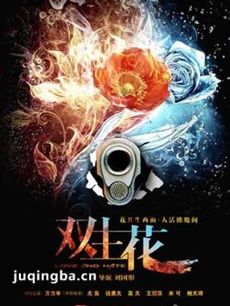 电视剧双生花剧情介绍(1-26全集)海报