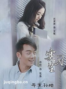 电视剧实习生剧情介绍(1-37全集)海报