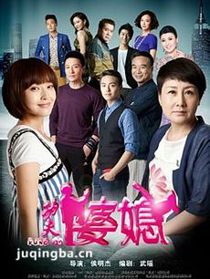 功夫婆媳剧情介绍(1-42集)海报