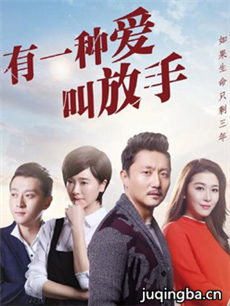 有一种爱叫放手剧情介绍(1-42全集)海报