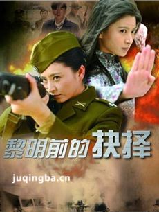 黎明前的抉择剧情介绍(1-36全集)海报
