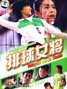 排球女将剧情介绍(1-29全集)海报