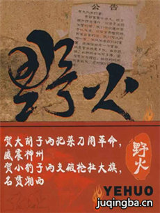 电视剧《野火》剧情介绍(1-40全集)海报